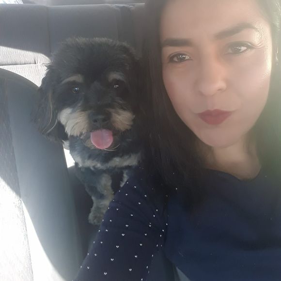 Meet your Posher, Nora - Picture 1 of 1